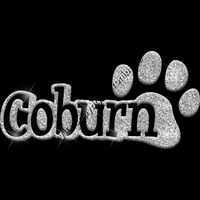 GLT17 SILVER GLITTER Thumbnail