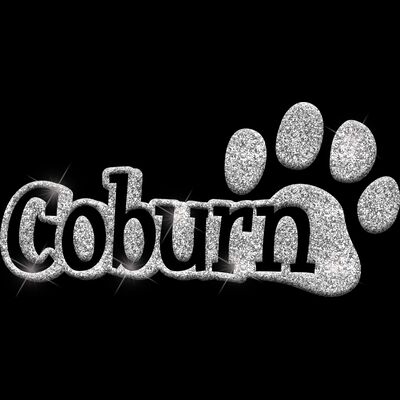 GLT17 SILVER GLITTER Thumbnail