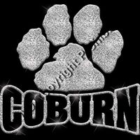 GLT32 SILVER GLITTER Thumbnail